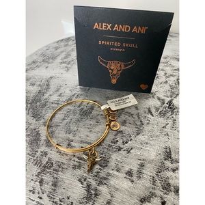 Alex and Ani Spirited Skull Bracelet